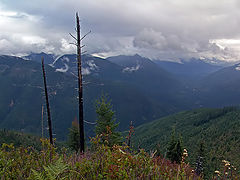 photo "Untitled photo"
