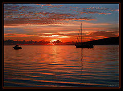photo "Orange Day"