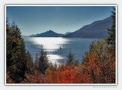 фото "**---**"