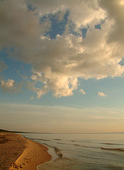 photo "Remembering summer"