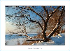 фото "Graphics of the Winter # 3"