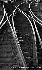 photo "tracks"