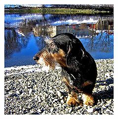 photo "Happy birthday dear Yurik from Norway"