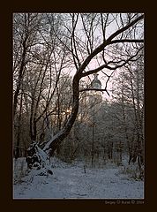 фото "Тихое местечко"