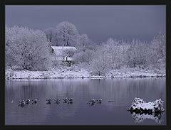 photo "cold"