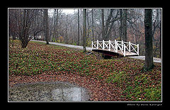 photo "Etude of late autumn"