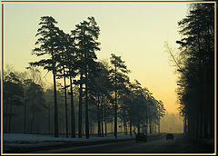 фото "Весна. Утро."