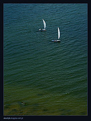 photo "baltyk 1"