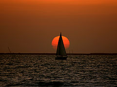 photo "Cut The Sunset"