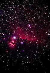 photo "Horseheadnebulae region"