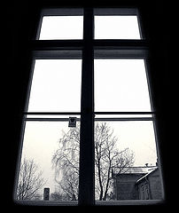 photo "window"