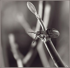 photo "Above breakage"