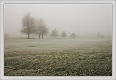 photo "Cold and Wet."