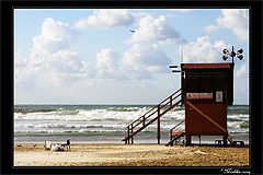photo "Story about a plane"