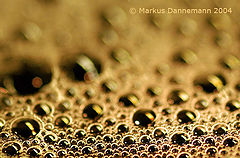 photo "Bubbles"
