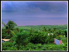 фото "View from our yard"