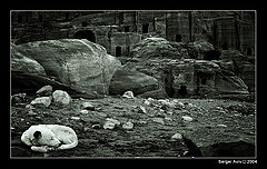 photo "The Jordanian notes 2"