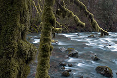 photo "Out Of Dreamland"