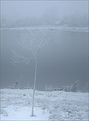 photo "silence"