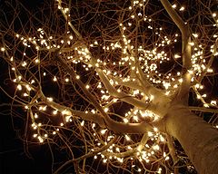 фото "natal"