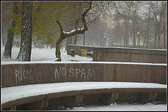 фото "No Spam"