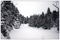 photo "Watercourse (2)"