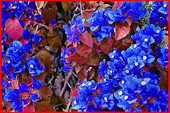 photo "Turn of the season"