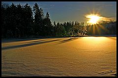 фото "Seasons Greetings"