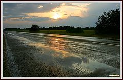 фото "after rain..."