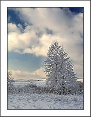 photo "clothes for winter  #1"