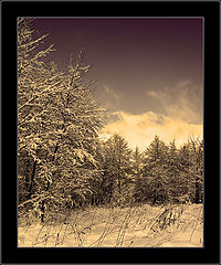 photo "clothes for winter  #2"