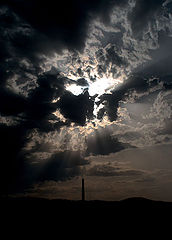 фото "Јутро (Morning)"
