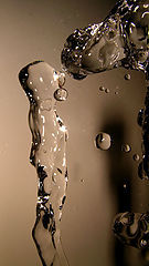 photo "Untitled photo"