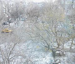 photo "From my window..."