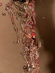 photo "Untitled photo"