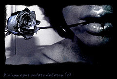 photo "to sooth pain"