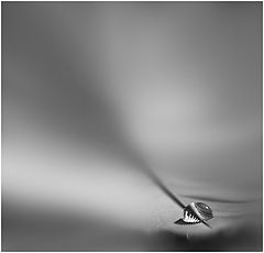 photo "The first drop:)"