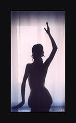 фото "Мелодия"