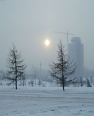 фото "Сибирское солнце"