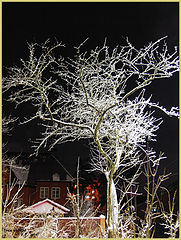 photo "Tree of light"