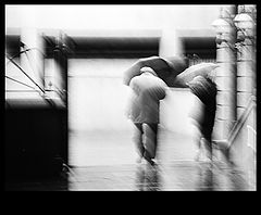 photo "december rain"