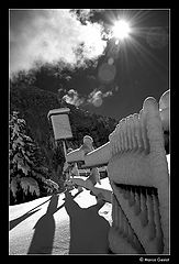 photo "rif b. boz"