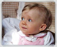photo "..."