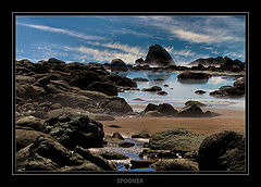 photo "***"