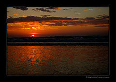 фото "(no title)"