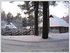photo "Winter Wonderland"