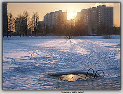 photo "To swim or not to swim?"