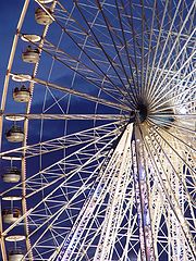 photo "Untitled photo"