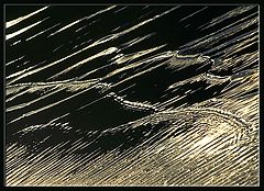 photo "Surface Emotions (5)"