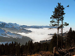 photo "December"